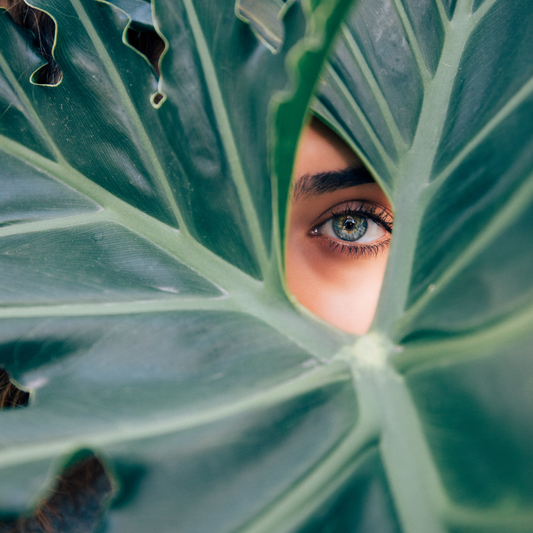 Clean vs Green vs Natural Beauty & Our Commitment To You