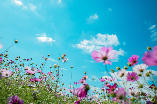 Wellbeing Benefits of Nature