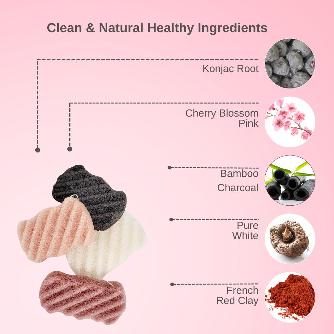 A breakdown of the pure, plant-based ingredients in the Konjac Sponge, a plastic-free and biodegradable skincare essential.