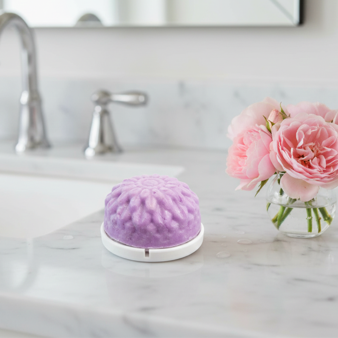Lavender and Bergamot body wash bar on white soap saver dish, showing how to keep bars dry and longer lasting.